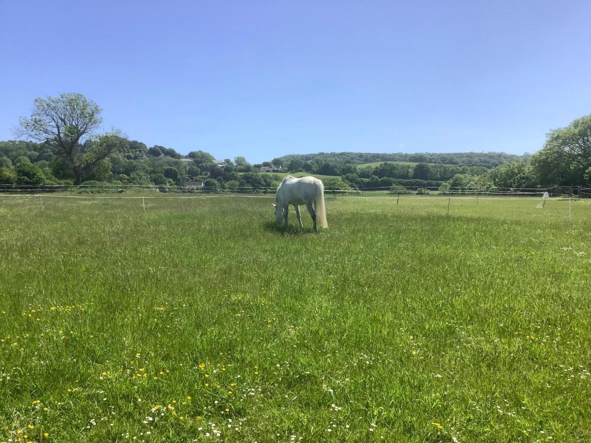 Winscombe The Forgeヴィラ エクステリア 写真
